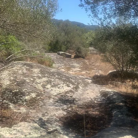 Bed & Breakfast A Teghja Figari (Corsica)