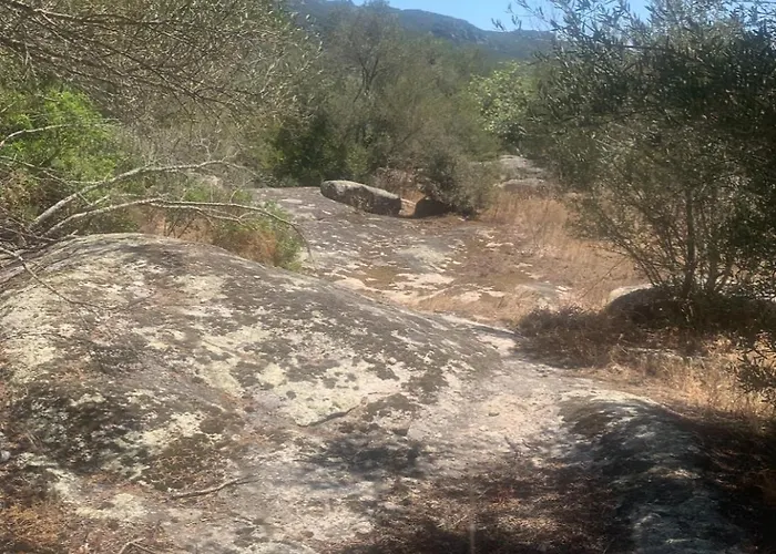 Alojamento de Acomodação e Pequeno-almoço A Teghja Figari (Corsica)